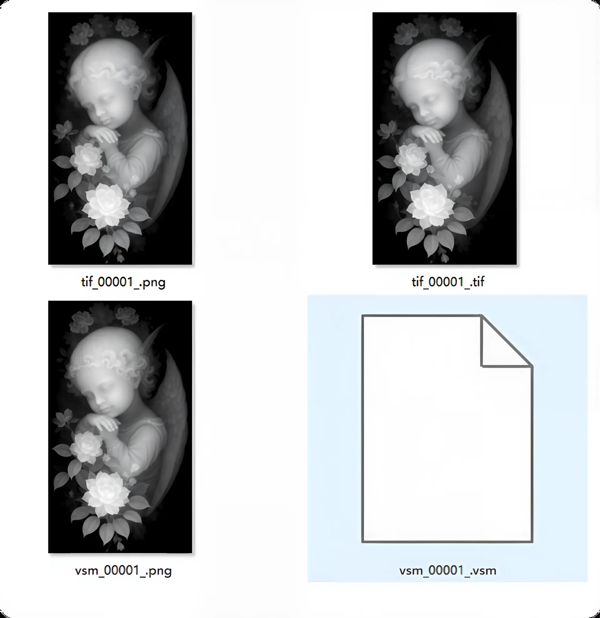 可输出无损tif、vsm格式